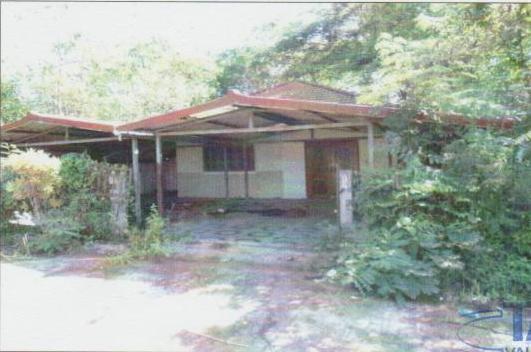 หนองบัว เมืองหนองบัวลำภู หนองบัวลำภู