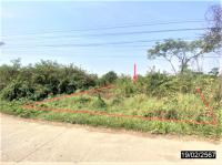 ที่ดินว่างเปล่าหลุดจำนอง ธ.ธนาคารกสิกรไทย หันนางาม ศรีบุญเรือง หนองบัวลำภู