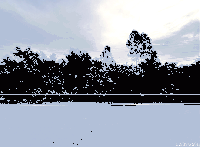 ที่ดินว่างเปล่าหลุดจำนอง ธ.ธนาคารกสิกรไทย นาดี สุวรรณคูหา หนองบัวลำภู